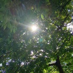 「自分がわからない」
「私らしくない生き方してるなぁ」
なんて、思うことはありませんか？ - 品川区