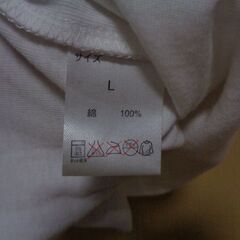 レディース服　ＴシャツＬの画像