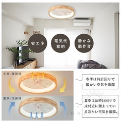 シーリングファンライト ファン付 LED 薄型 8〜10畳 高輝度の画像