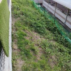 草刈り、防草シート