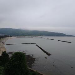 天然乾燥ひじき　鉄釜炊き･天日干し　漁師手作り　山口県防府市富海産　【現金直接取引用】の画像