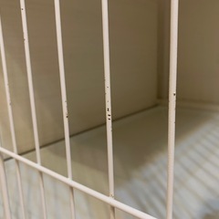 ペット用ゲージの画像