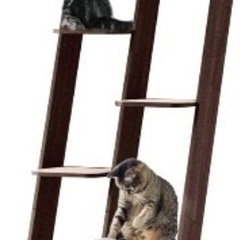 猫シェルフの画像