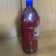 自家製PSB４リットル