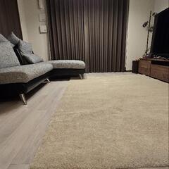 【IKEA】絨毯170cm×240cm