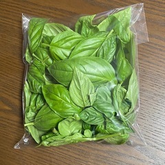 無農薬 バジル 100gの画像