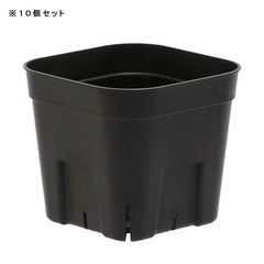 🌟新品未使用🌟多肉植物 観葉植物　スリット鉢 プレステラ １０５型 黒　１０個セットの画像