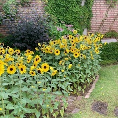 🚗お出かけ仲間🌻