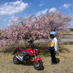 【ゆる募】女性の友達が欲しいです！ − 栃木県