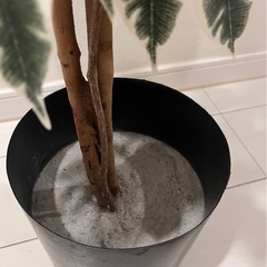 観葉植物 フェイクグリーン🌿.∘の画像