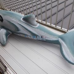 イルカ型浮き輪の画像