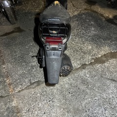 ライブディオの画像