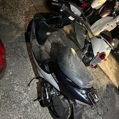 ライブディオの画像