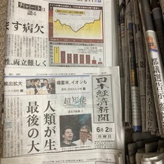 【日経新聞（朝刊・夕刊・プラス1）】2025年6月の1ヵ月分（30日分）の画像