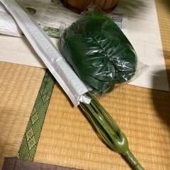 フェイクグリーン　モンステラ