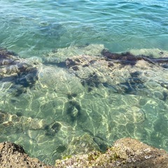 一緒に海水浴に行ける方！🌊