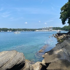 一緒に海水浴に行ける方！🌊 - 府中市