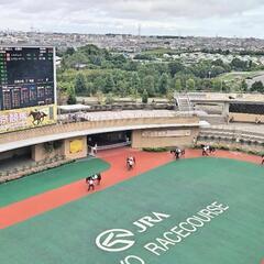 馬グル！新メンバー待ってます😅