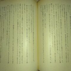 『快傑ゾロ』ジョンストン・マッカレー　創元推理文庫の画像