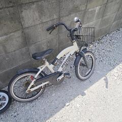 子供、練習用自転車の画像