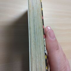 『うる星やつら 28巻』高橋留美子　小学館の画像