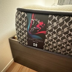 シーリー スピードマッスル マットレス スポーツ向け 高反発 × 体圧分散
の画像