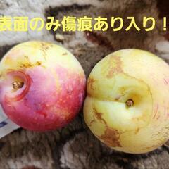 都農町産　無農薬　じいちゃんの大きめスモモ　１キロ以上【約5～6個くらい？】～の画像