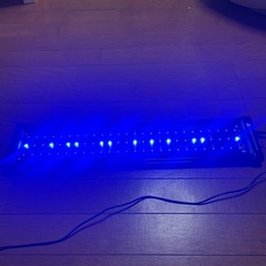 60cm水槽 LEDライトの画像