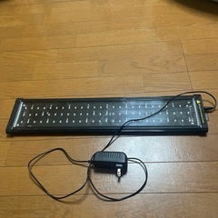 60cm水槽 LEDライトの画像