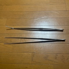 熱帯魚 ピンセットの画像