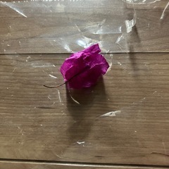 ブーゲンビリアの画像