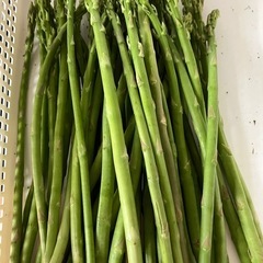 アスパラ40本