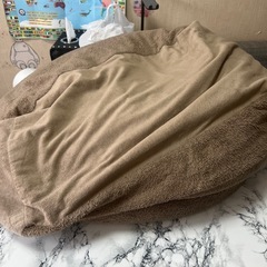 ニトリ　ビーズクッション　　の画像
