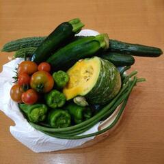 採れたて野菜　6種類セットの画像