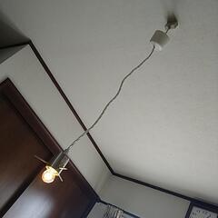 天井吊り下げ照明器具の画像
