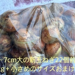 新玉ねぎ2kg(22個前後)6～7cm前後の物➕おまけ