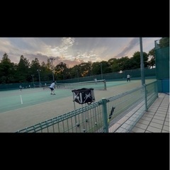 硬式テニスメンバー募集🎾