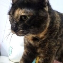 苦渋の決断😭本文見てください🙇