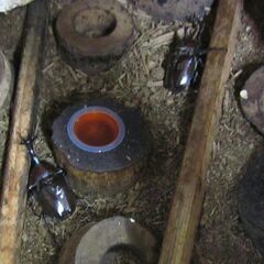 カブトムシ　岐阜市民病院の近く