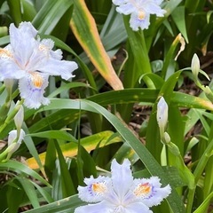 誰か一緒に登って！奥多摩、登山仲間募集（初心者歓迎） - 友達