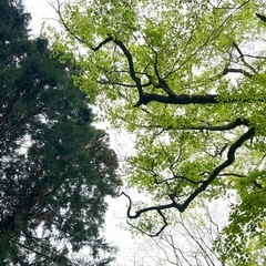 誰か一緒に登って！奥多摩、登山仲間募集（初心者歓迎） - 立川市