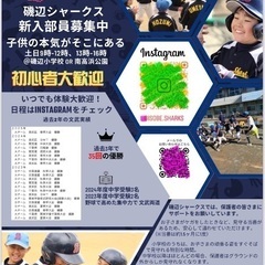 磯辺シャークス少年野球メンバー募集！いつでも体験OK ♪直…
