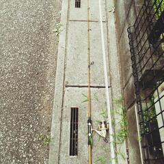 釣竿中古品の画像