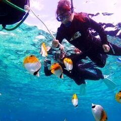 急募！正スタッフ・寮完備　シュノーケル・カヤック・SUPネイチャーガイドの画像