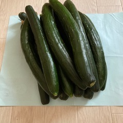 きゅうり