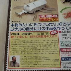 夏休み自由研究！工作カブトムシの画像