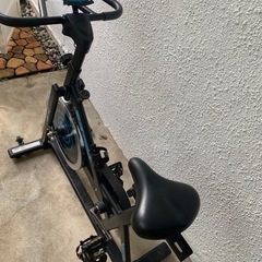 アルインコスピンバイク
