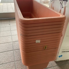 プランター20個セット売りの画像