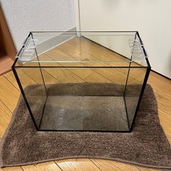 水槽　30cm アクアリウム