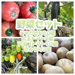 【7/4】野菜セット